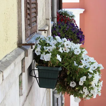 Pensao Elegante